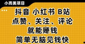 小而美的项目,抖音小红书B站视频点赞、关注、评论就能挣钱,简单无脑立见收益,妥妥的零撸项目【揭秘】-第一资源库