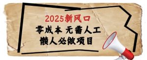2025新风口，懒人必做项目，浏览器全自动掘金【揭秘】-第一资源库