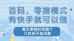 首码,零撸模式,有快手就可以做,每天零碎时间搞个几张不成问题【揭秘】-第一资源库