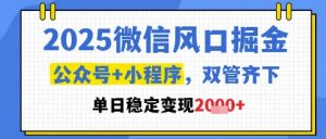 2025微信风口掘金，公众号+小程序双管齐下，单日稳定变现1k+【揭秘】-第一资源库