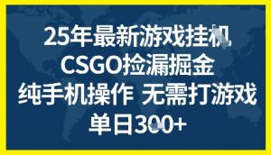25年CSGO游戏搬砖，全自动挂G，不需要玩游戏，手机操作日入3张+【揭秘】-第一资源库