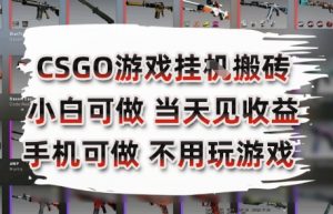 CSGO游戏挂G搬砖，小白纯手机即可操作，不用电脑打游戏，日入3张+，副业网创项目【揭秘】-第一资源库