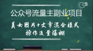 公众号流量主副业项目，美女图片+文章混合模式操作流量爆棚-第一资源库