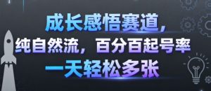 成长感悟赛道，纯自然流，百分百起号率 一天轻松多张-第一资源库
